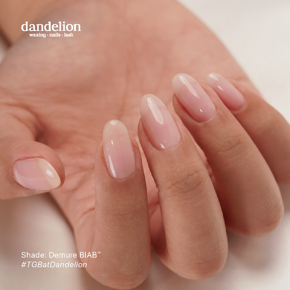 Dandelion Service Nails BIAB Gallery
